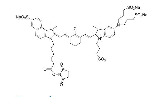 IRDye® QC-1 NHS Ester