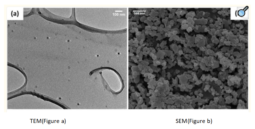 LyP-1-functionalized ENT-loaded nanoparticles