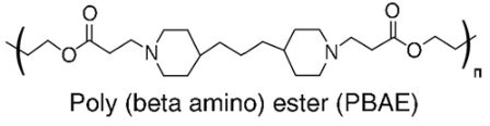 poly(beta-amino ester)