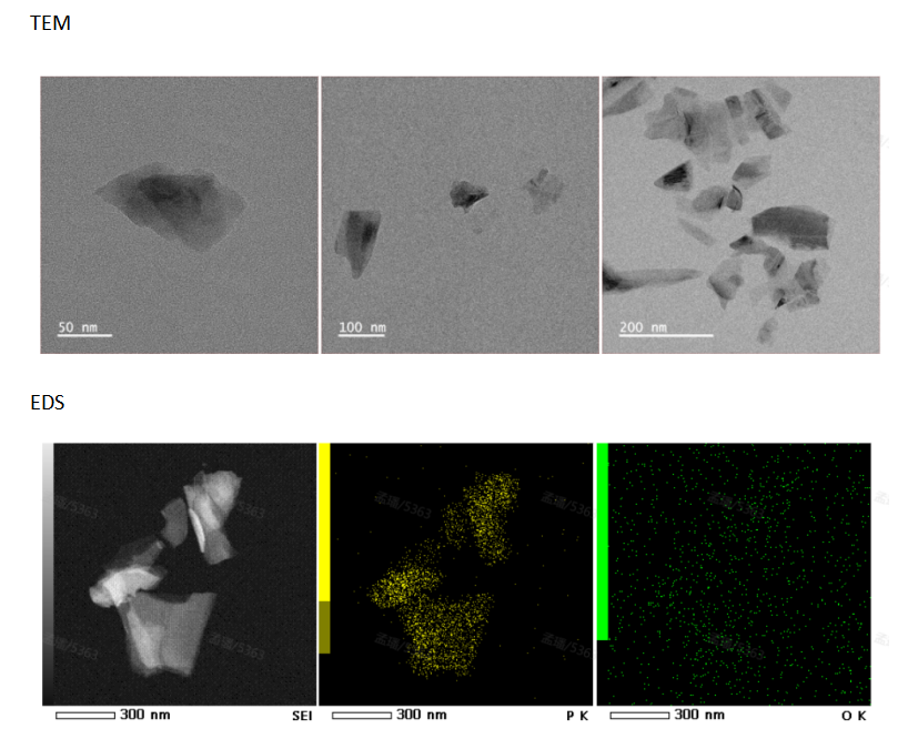 CY5-Black phosphorus nanosheets-YTRDLVYKDPARPKIOKTCTF