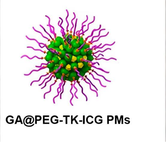 GA@PEG-TK-ICG PMs 