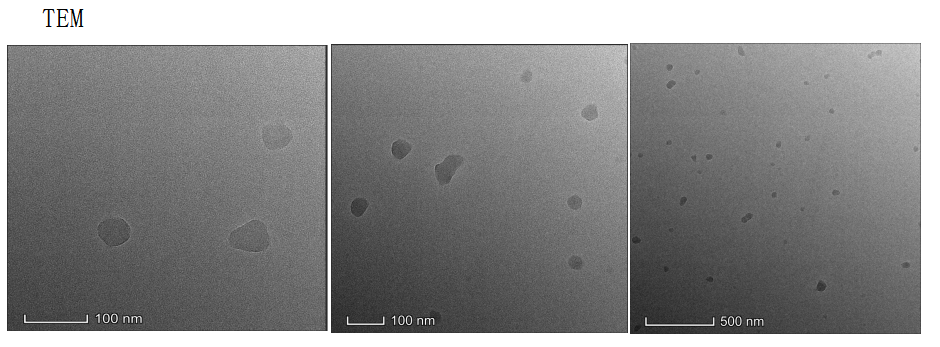 Ang peptide modified EGCG loaded atorvastatin+TMZ 