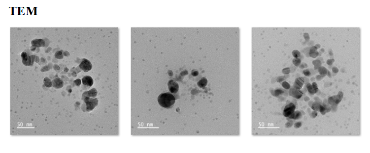 PEG-Ag₃PO₄ NPs loaded with dual drug CCCP+meropenem