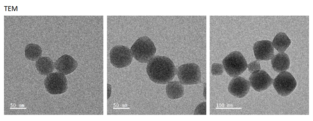 UiO66-NH2@Curcumin NPs 