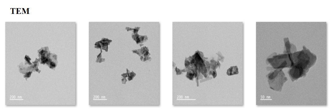 HSA@ICG-Bi2(SeO3)3 nanoparticles