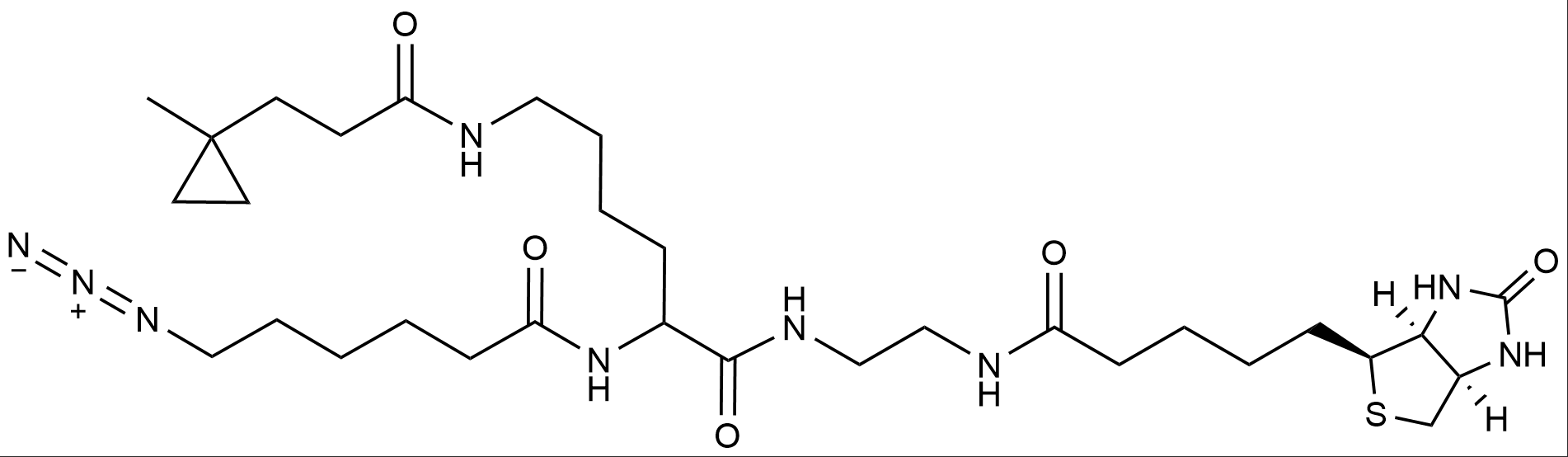 Diazirine-N3-Biotin
