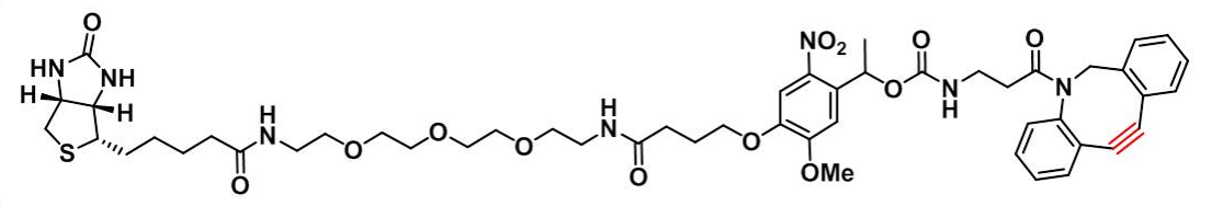 PC DBCO-PEG3-biotin