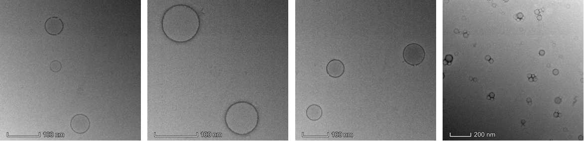 HSA-Ce6 nanoparticles 