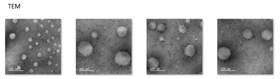 Liposome@CU-T12-9 -CY5.5,±100nm