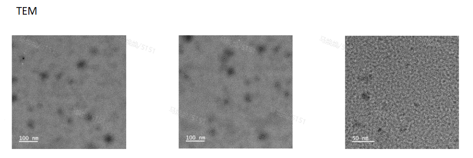 QHREDGS-PVGLIG-KAWAECRPPDEGLC-MnO2(10-20nm)