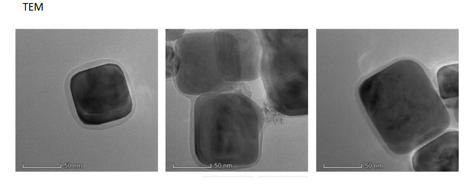 Polydopamine nanoparticles@BaTiO3 nanoparticles,100nm